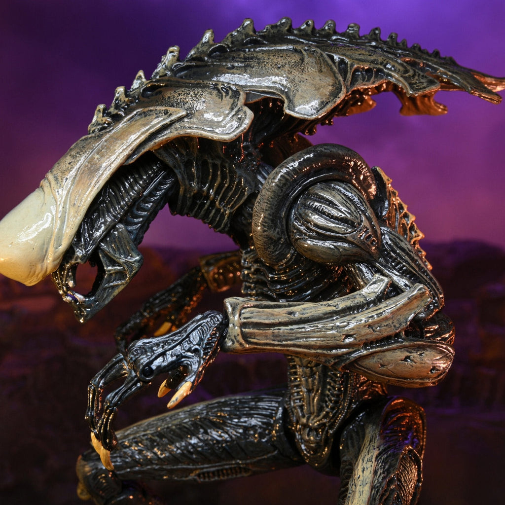 NECA Alien vs. Predator Chrysalis (Movie Deco)