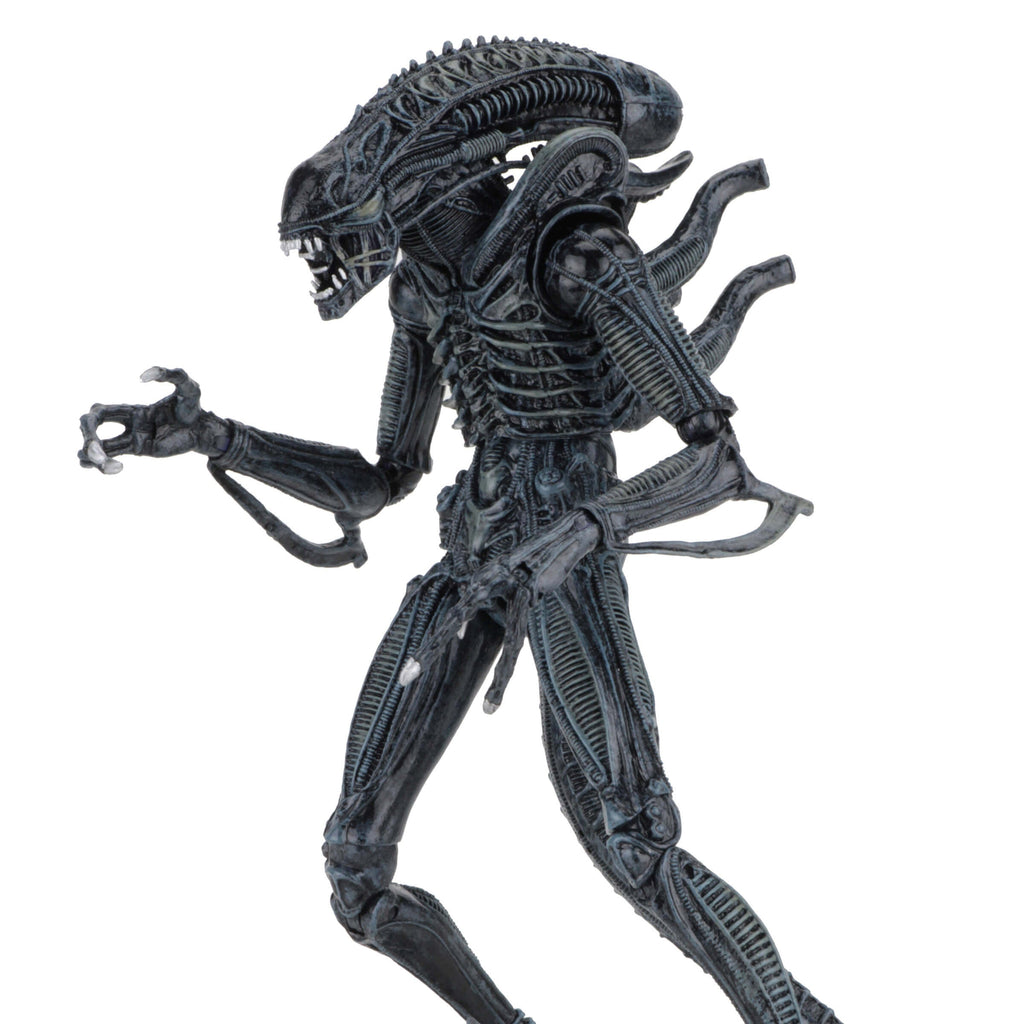 NECA Alien 1986 Ultimate Aliens Warrior (Blue Version)