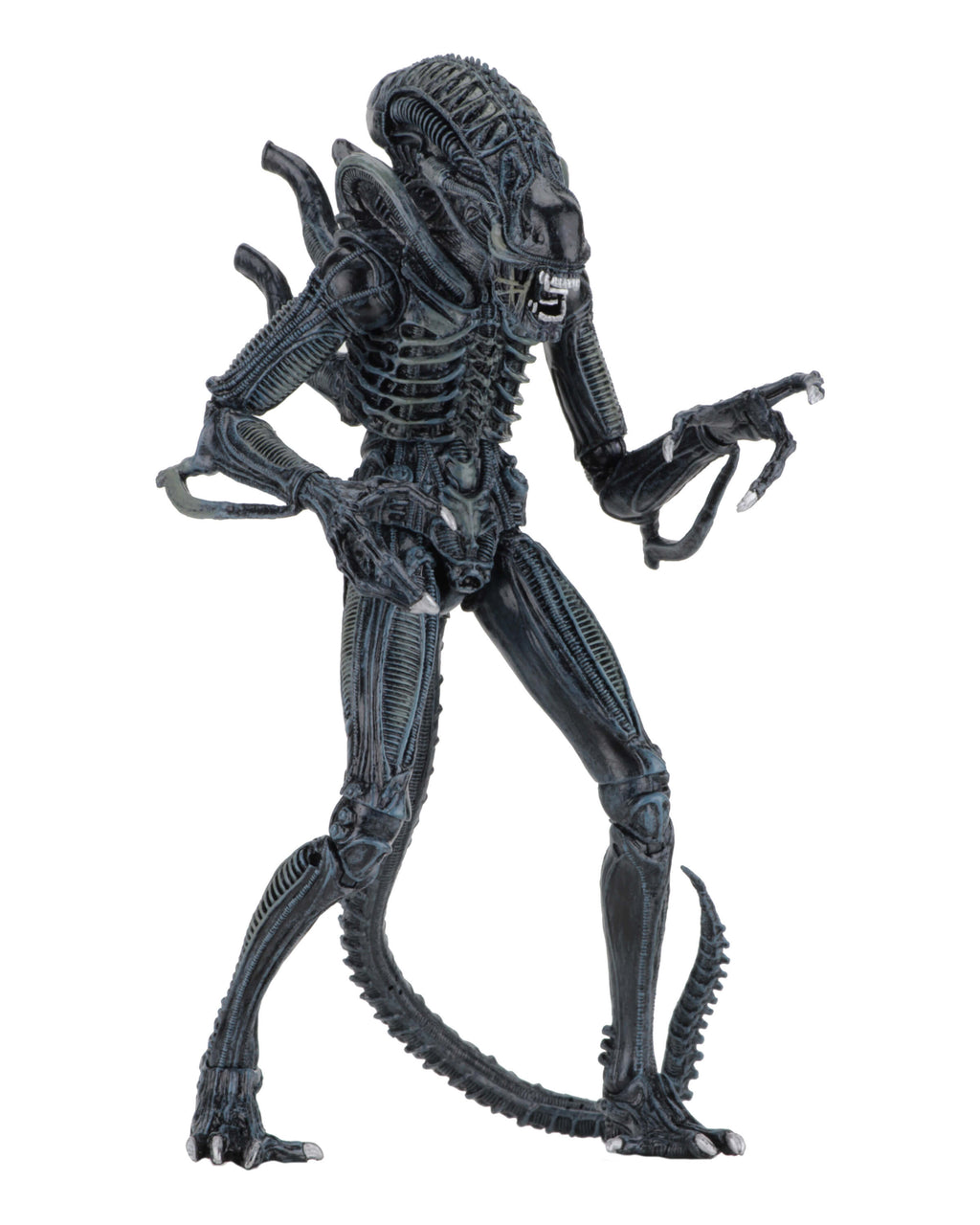 NECA Alien 1986 Ultimate Aliens Warrior (Blue Version)