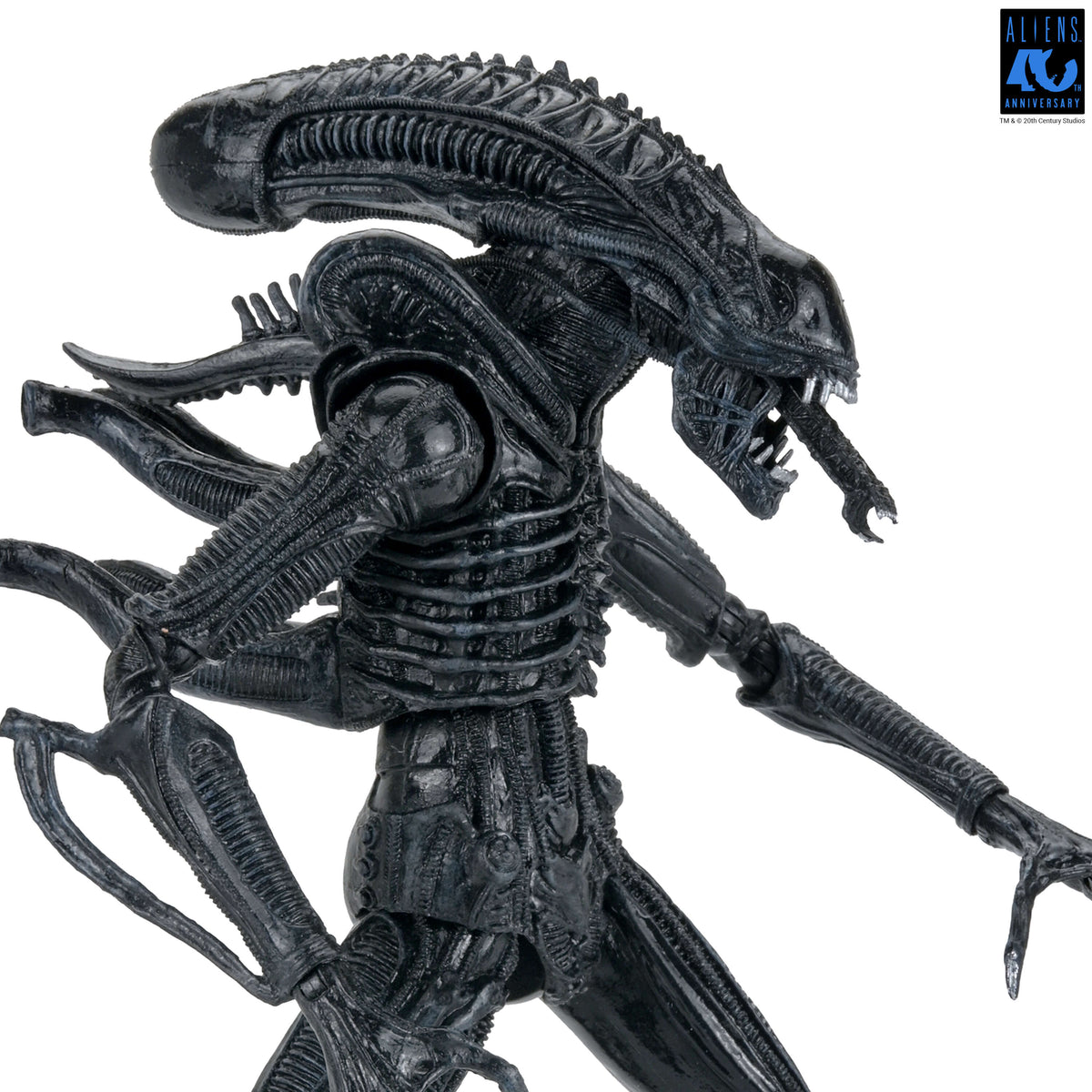 NECA Aliens 40th Anniversary Ultimate Warrior Xenomorph