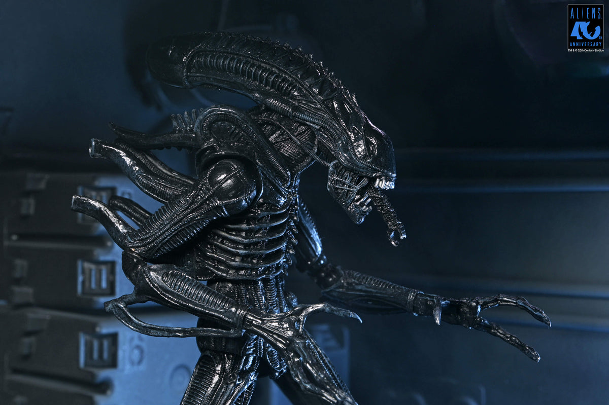NECA Aliens 40th Anniversary Ultimate Warrior Xenomorph