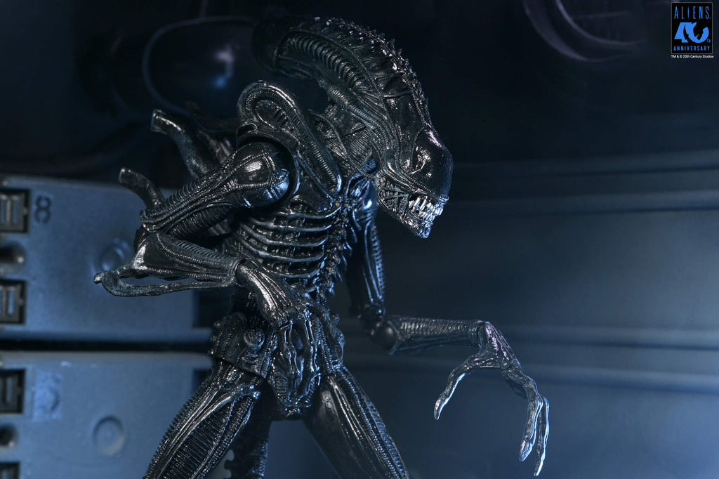 NECA Aliens 40th Anniversary Ultimate Warrior Xenomorph