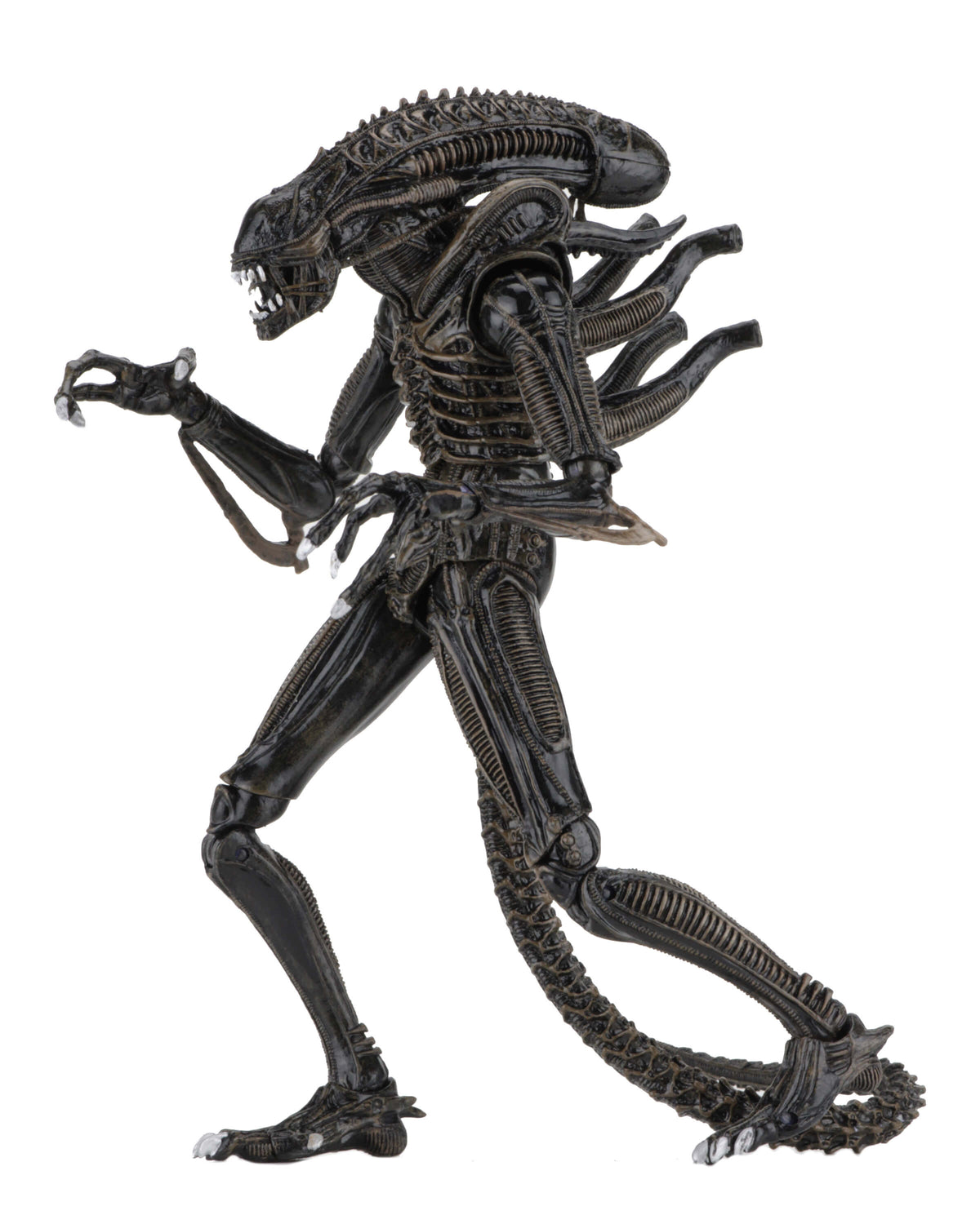 NECA Alien 1986 Ultimate Aliens Warrior (Brown Version)