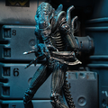NECA Alien 1986 Ultimate Aliens Warrior (Blue Version)