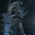 NECA Aliens 40th Anniversary Ultimate Warrior Xenomorph