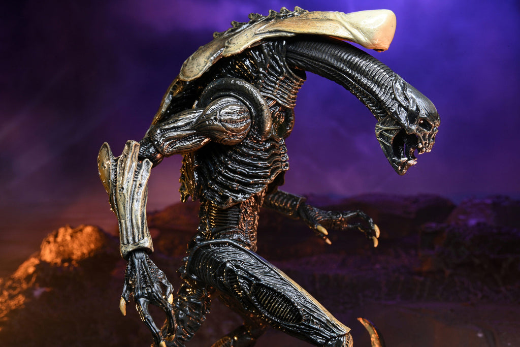 NECA Alien vs. Predator Chrysalis (Movie Deco)