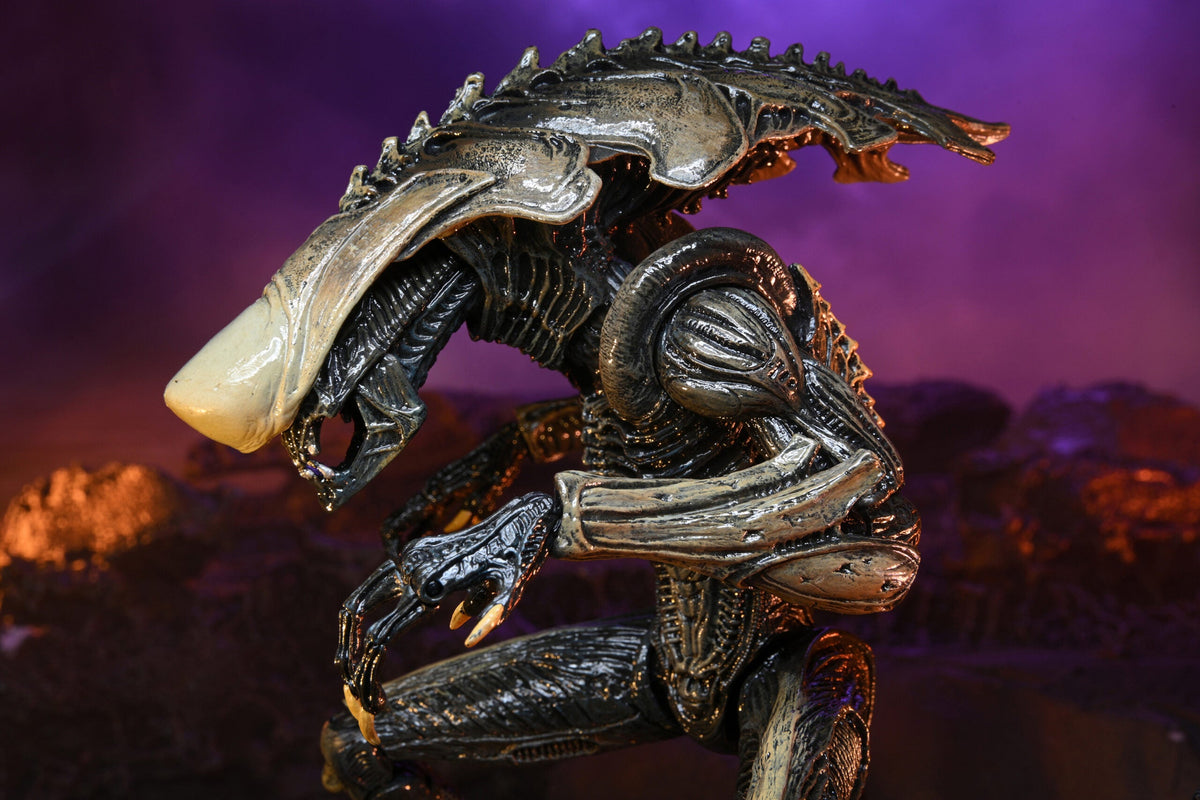 NECA Alien vs. Predator Chrysalis (Movie Deco)