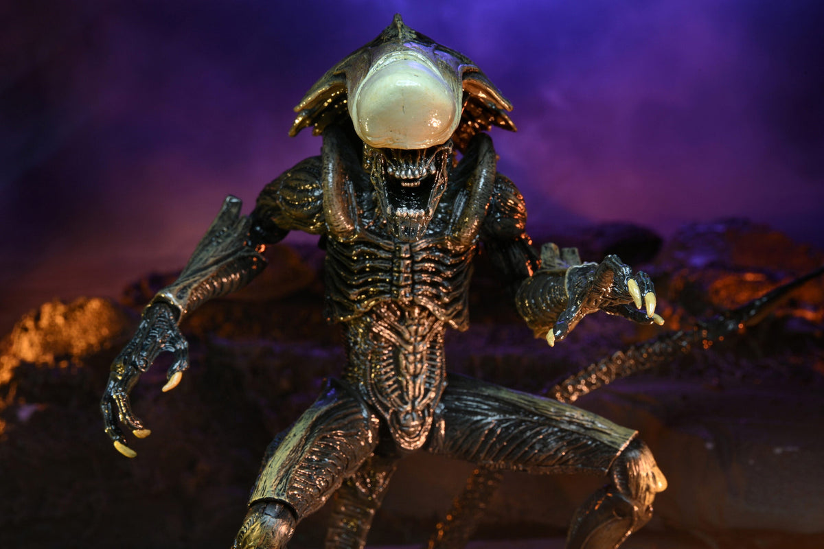 NECA Alien vs. Predator Chrysalis (Movie Deco)