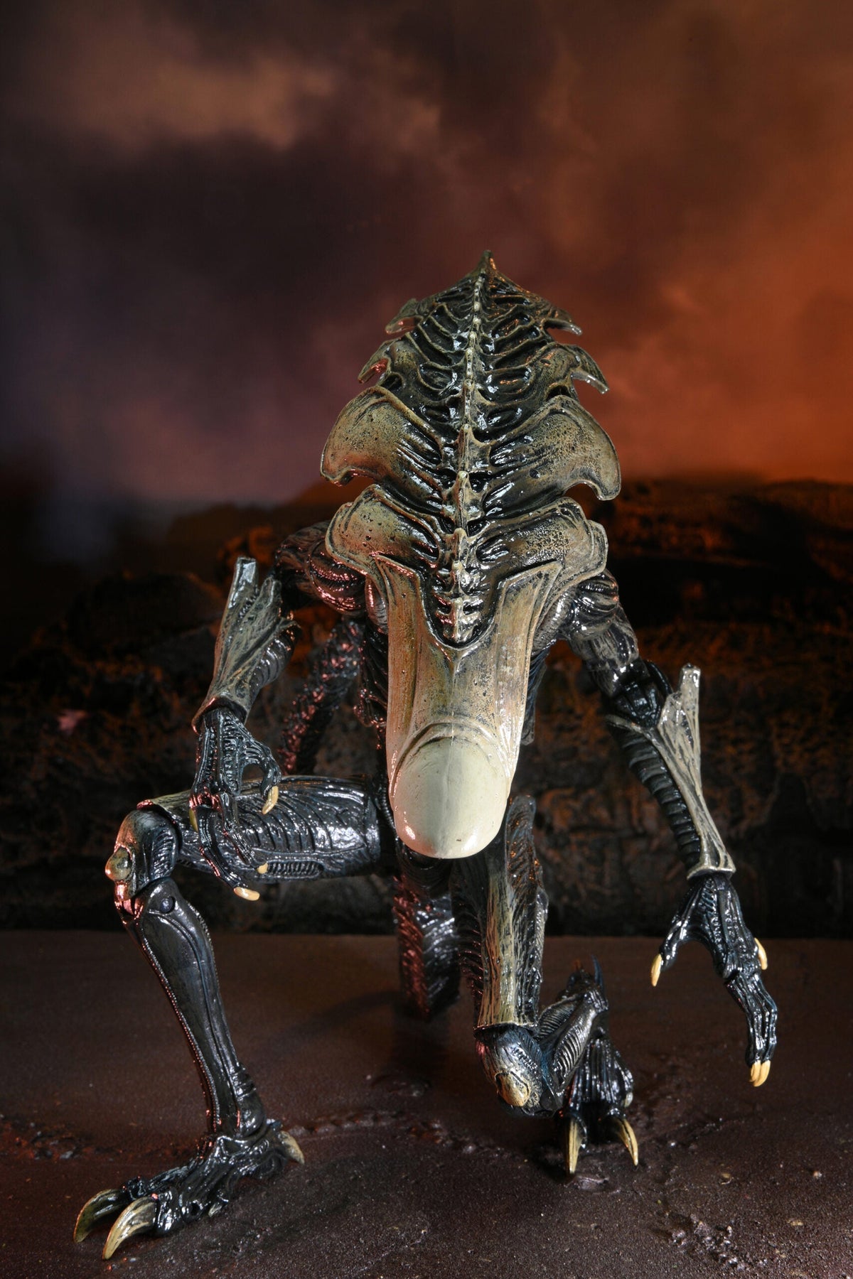 NECA Alien vs. Predator Chrysalis (Movie Deco)